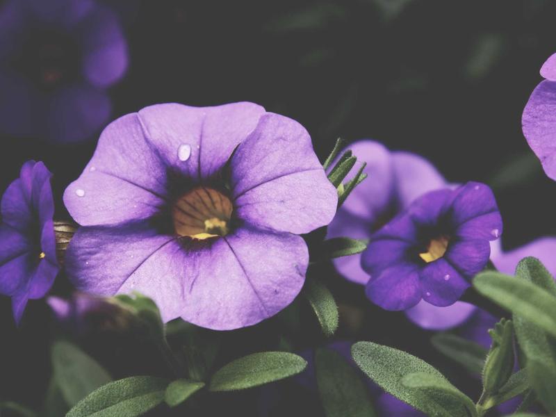 contact screenshot 6