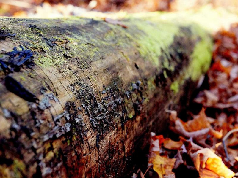 sudoku perfect score screenshot 2